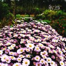 서흥농장 이미지