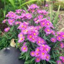 센트럴대구산부인과의원 이미지