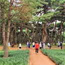 황토길 - 광산구 | 황토길