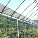 삼삼오오농장 이미지