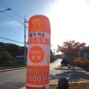 황제꽈베기