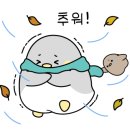 연합카모터스 네이버블로그