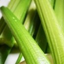 바디클락 이미지