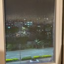 해바라기모텔 이미지