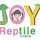 조이렙타일