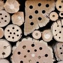 장외과의원 이미지