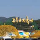 정다운주유소 | 11월 가을 축제 나들이🚗_ 2025 고흥유자축제 솔직후기🍊,고흥 생선구이 돌게장 백반 정식 후기 🐟