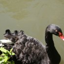 오리궁전 이미지