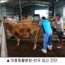 이동가축병원 이미지