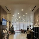 솔라리아 니시테츠 호텔 부산 | 서면숙소 추천 4급 깔끔한 솔라리아니시테츠호텔부산