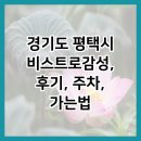 린스트라우스,호반베르디움 맞은편 | 경기도 평택시 비스트로감성, 후기, 주차, 가는법