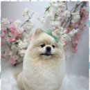 뷰티몽 이미지