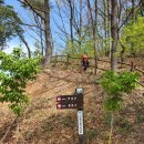 대구 앞비종주 [앞산-비슬산] 산행 이미지