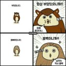 부엉이