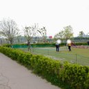 파크골프공원 파크골프장 이미지