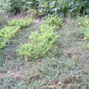 재학농장 이미지