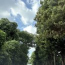 우영농원 이미지