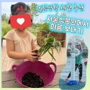 모두의배움숲(씨앗반) | 서울식물원 정원학교 8월 함께정원 체험 후기🌿 물놀이터까지 완벽 즐기기!