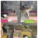 반석동물병원 이미지