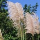 도화산장 이미지