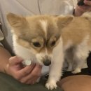 양이주택 게스트하우스 이미지