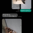 뽀송이 운동화 세탁 이미지