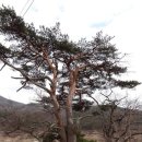 박달3리 이미지