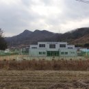 군북게이트볼장 이미지