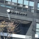 에스테틱고우다