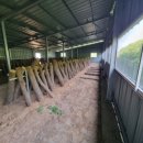 꿈의 태양광발전소 이미지