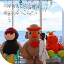 홈패션 및 패션소품 | 제주 애월 소품샵 제주 기념품샵 제주도감성소품샵 추천