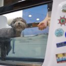 이지 동물병원 이미지