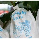 곰내미영농조합법인 이미지