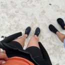 코난민박 이미지