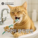 아크로벳 내과동물병원 이미지