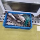 성해수산 이미지