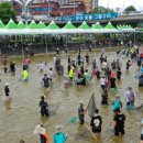 송이축제 문화유적탐방버스 이미지