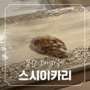 스시이카리 이미지