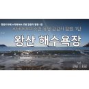 스타파이브PC