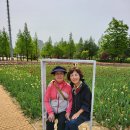 오산회(오남매랑) 211회 청주 문암생태공원, 청남대(2023-4-223. 일) 이미지