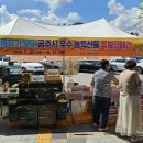공주알밤홍보，판매장 중도일보