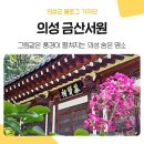 금산서원 | 배롱나무와 함께하는 &#39;의성 금산서원&#39; 산책