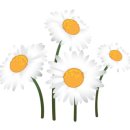 고기싸롱 답십리점 이미지