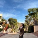 이다해 카카오 검색결과