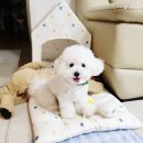 안흥 공중화장실 이미지