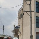 제주 서쪽 협재 또간집 공훈브런치 당근스프, 당근샐러드 내돈내산 실망 후기