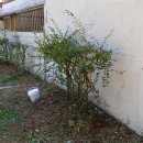 열우물공원 이미지