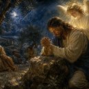 누가복음 22:42-48 “내 뜻을 내려놓고, 사람을 살리는 자” 이미지
