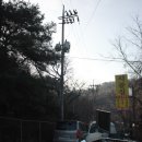 시골집영양탕토종닭 이미지