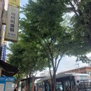 장지마을 버스정류장 이미지